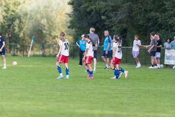 Bild 240 - wBJ VfL Pinneberg - Hamburger SV 2 : Ergebnis: 1:3